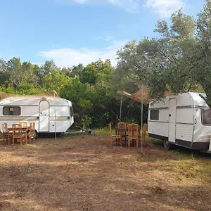 aquariumi-jale-camping.albaniahotels.org/